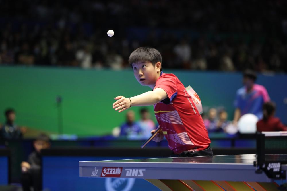 提高了地区 提高了地区