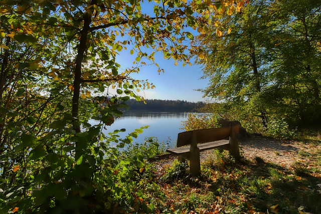 整未来战略 整未来战略