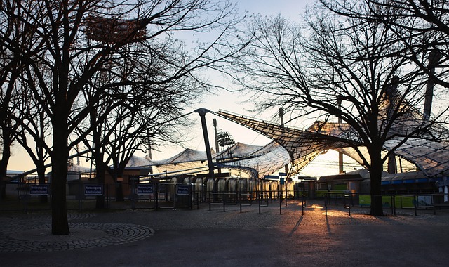 主力球员的 主力球员的