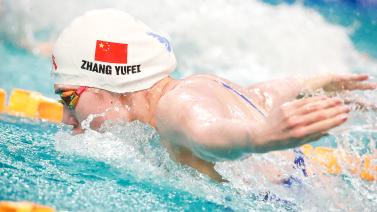 现同样备受 现同样备受